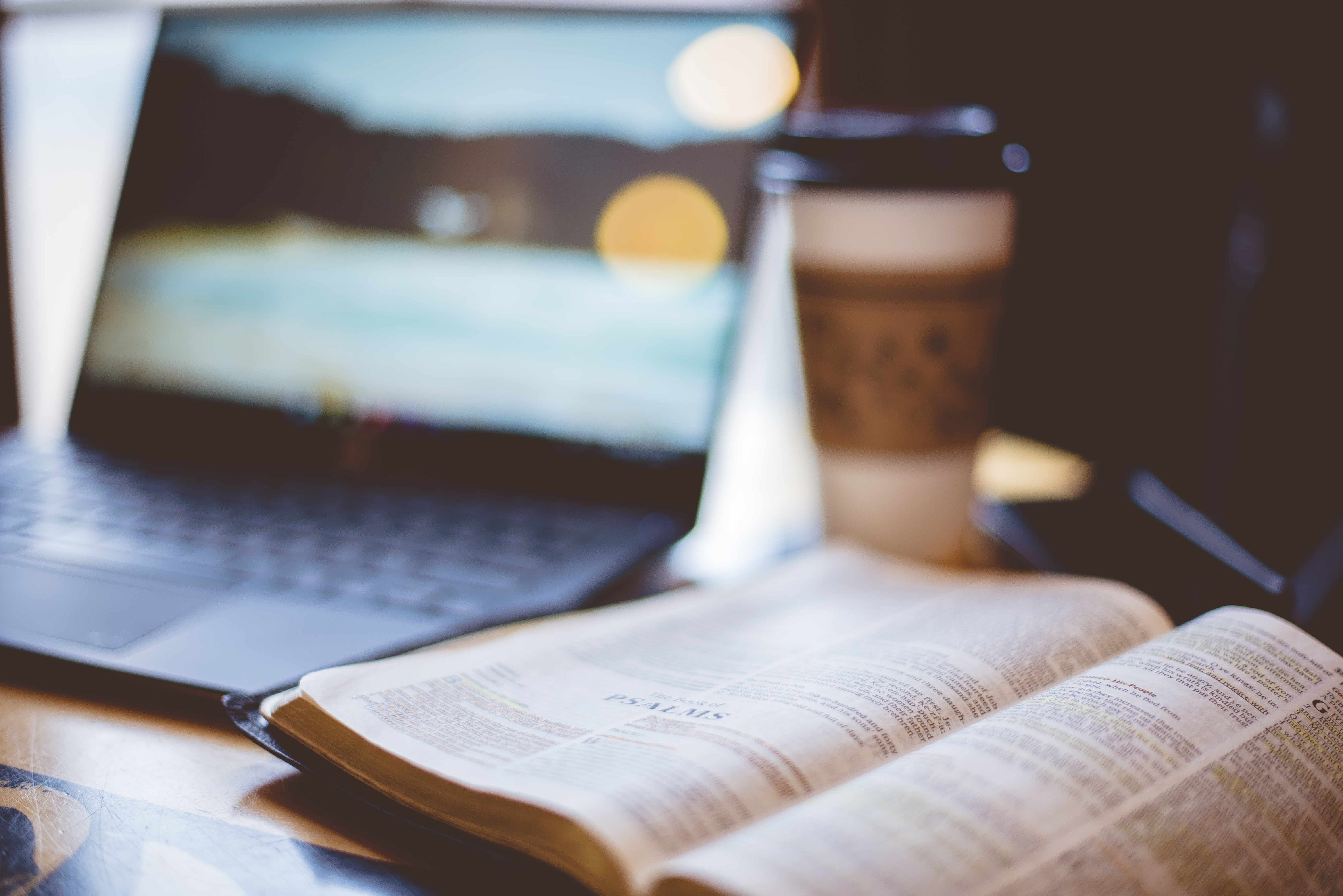 Bible Workshop